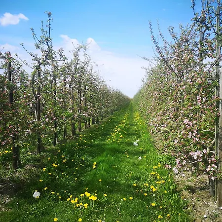 Hof Sonnenschein Apartment *