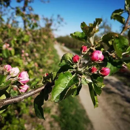 Hof Sonnenschein Jork