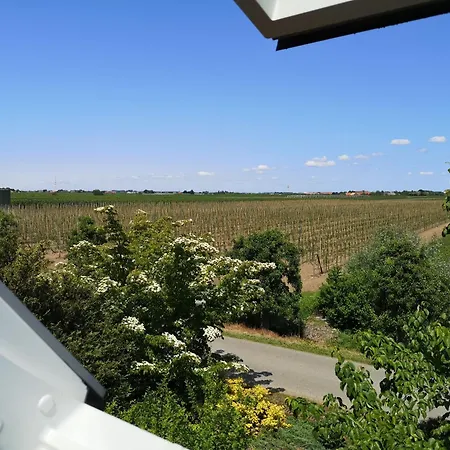 Hof Sonnenschein *