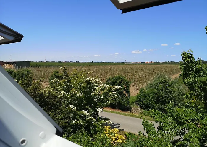 Hof Sonnenschein Lägenhet