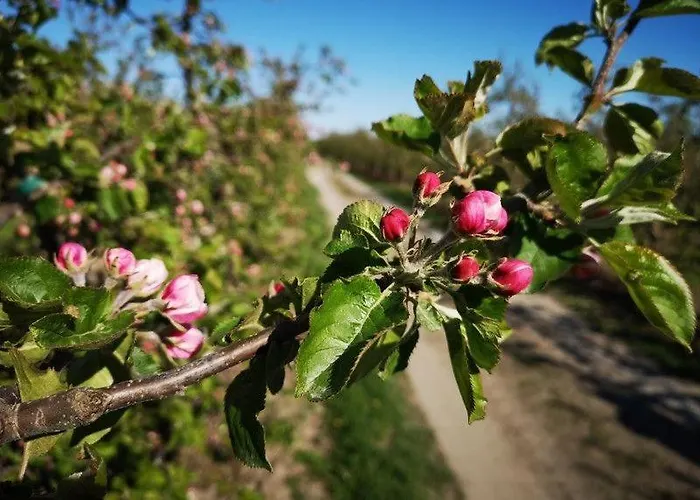 Hof Sonnenschein Jork
